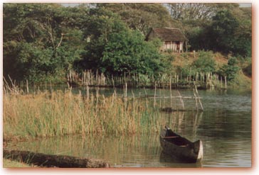Piroge (28k)